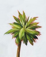 Palm Glow II Framed Print