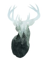 Forest Majesty I Framed Print