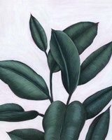 Verdant Ficus I Framed Print