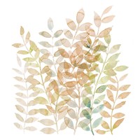 Entwined I Framed Print