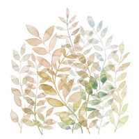 Entwined II Fine Art Print