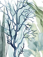 Sea Leaves I Framed Print