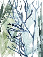Sea Leaves II Fine Art Print