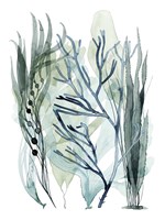 Sea Leaves III Framed Print