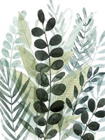 Forest Forage I Framed Print