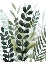 Forest Forage II Fine Art Print