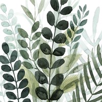 Forest Forage IV Framed Print