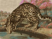 Urban Jungle Cat I Fine Art Print