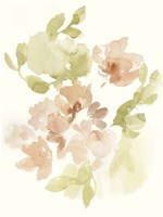 The Softest Petals II Framed Print