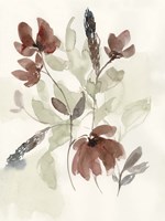 Dusty Flower Composition I Framed Print