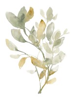 Sage & Sienna Leaves I Fine Art Print