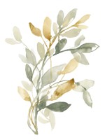 Sage & Sienna Leaves II Fine Art Print