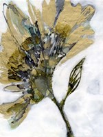 Flower Alloy II Fine Art Print