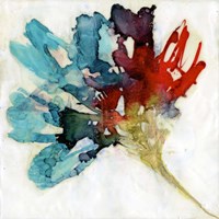 Splashed Flower II Framed Print