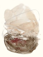 Earth Bloom II Fine Art Print