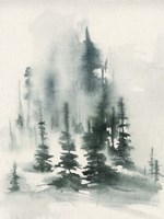 Misty Winter I Fine Art Print