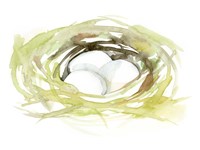 Watercolor Nest II Fine Art Print