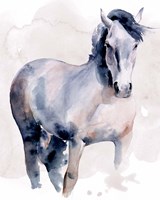 Horse in Watercolor I Framed Print