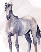 Horse in Watercolor II Fine Art Print