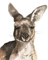 Kangaroo Portrait I Fine Art Print