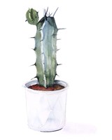 Sharp Succulents I Fine Art Print