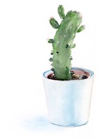 Sharp Succulents II Fine Art Print