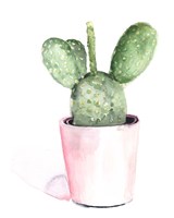 Sharp Succulents III Fine Art Print