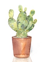 Sharp Succulents IV Fine Art Print