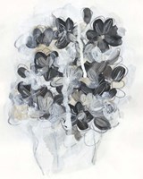 Monochrome Flora II Framed Print