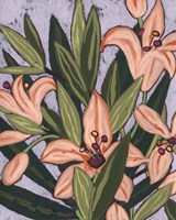 Island Lily I Fine Art Print
