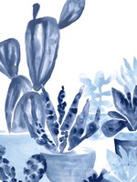Indigo Succulent IV Fine Art Print
