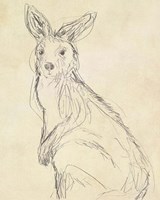 Outback Sketch IV Fine Art Print