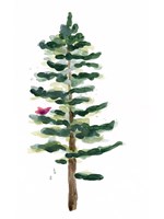 Warm Winter Wishes VIII Fine Art Print