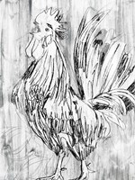 Barnwood Flock II Fine Art Print