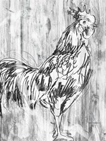 Barnwood Flock III Fine Art Print