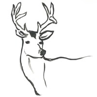 Minimal Deer I Fine Art Print