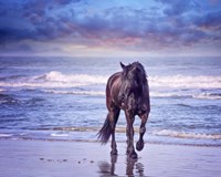 Running in the Sand I Fine Art Print