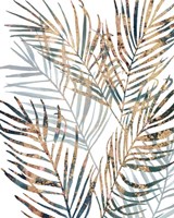 Summer Gaze I Framed Print