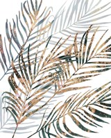 Summer Gaze II Framed Print