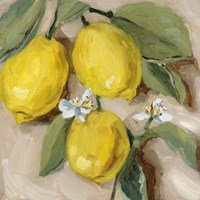 With the Sun I Fine Art Print