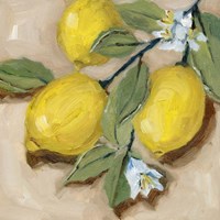 With the Sun II Fine Art Print