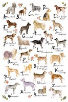 Dog Alphabet Fine Art Print