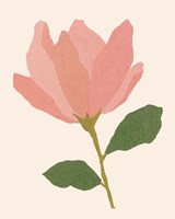 Magnolien I Fine Art Print