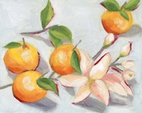 Tangerine Blossoms I Fine Art Print