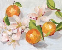 Tangerine Blossoms II Fine Art Print