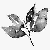 Feuille I Fine Art Print