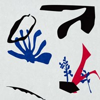 Poker II Fine Art Print