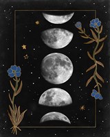 Night Moon II Framed Print