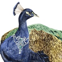 Silent Grace II Framed Print