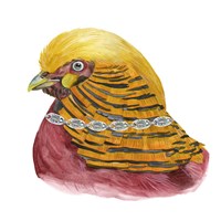 Silent Grace IV Framed Print